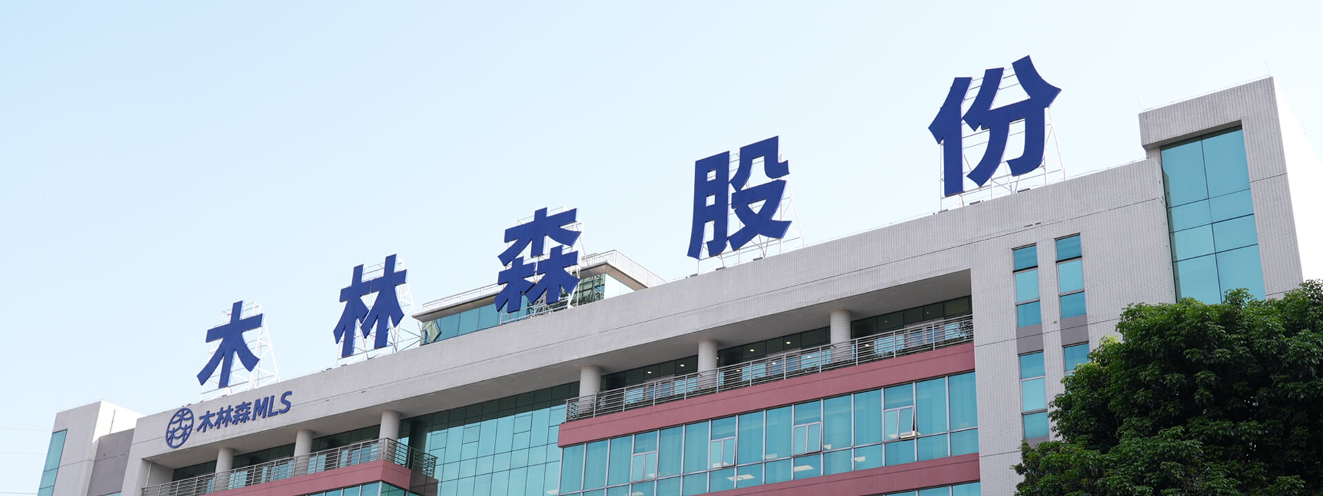 木林森集团